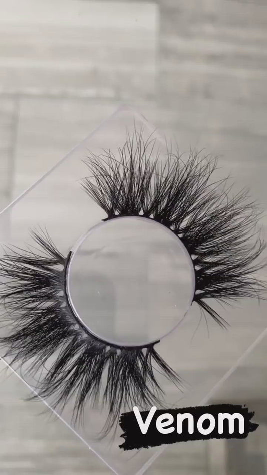 Deluxe Lash Box